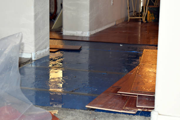 Professional Flood Cleanup technician working in Pingree, ND