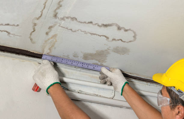 Reliable Flood Cleanup contractor in Pingree, ND by Water Damage Irwin